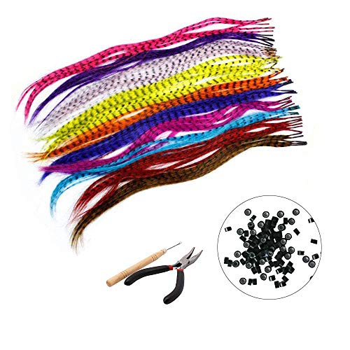 BLINNGO 35 Pcs Extension de Cheveux Capillaire en Plume synthétiques(40cm) +100 Perles,1 Pinces et 1 Crochets (Cheveux Coulers Mixtes)