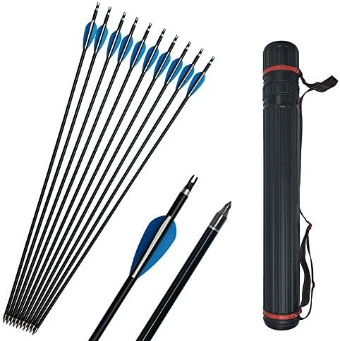 12Pcs Aluminum Arrows with Replaceable Broadhead Arrow Nock Feather 31inches Spine 300 for Recuve Compound Bow