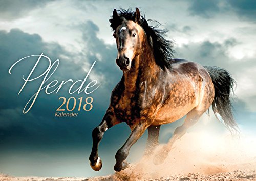 Preisvergleich Produktbild Pferde 2018