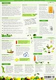 Image de Grüne Smoothies in 5 Minuten (2017) - Intuitive Anleitung um die gesunde Mini-Mahlzeit für die ganze Familie richtig zuzubereiten - (DINA4 - 2 Seite