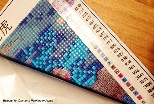 Set Diamond Painting Strass Mosaik Bild Basteln Bastelset Steine Pferde Strand 25x21cm - 9