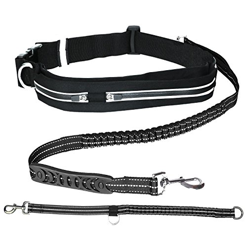 Taking Your Puppy for a Walk When & Where To Walk Your Puppy Guide