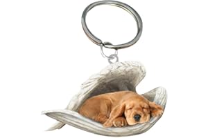 CHAHU Portachiavi in acrilico a forma di angelo addormentato, con ali d'angelo, ornamento da appendere per gli amanti dei cani