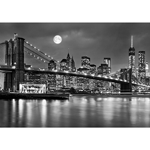 Fototapete New York 308 x 220 cm – Vliestapete – Wandtapete – Vlies Phototapete – Wand – Wandbilder XXL – !!! 100% MADE IN GERMANY !!! Runa Tapete 9101010b - 6