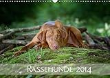 Rassehunde 2014 (Wandkalender 2014 DIN A3 quer): Kalendarium Rassehunde 2014 (Monatskalender, 14 Seiten) by