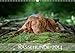 Rassehunde 2014 (Wandkalender 2014 DIN A3 quer): Kalendarium Rassehunde 2014 (Monatskalender, 14 Seiten) by
