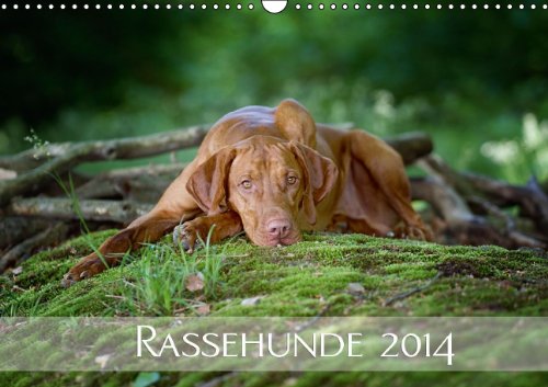 Rassehunde 2014 (Wandkalender 2014 DIN A3 quer): Kalendarium Rassehunde 2014 (Monatskalender, 14 Seiten)