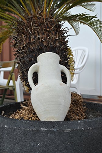 Amphore,Terracotta,Tunesische Handarbeit,20cm hoch