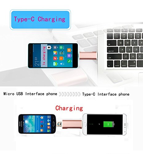 xingdongchi USB C Kartenleser, USB 3.0 Apple SD-Kartenleser, OTG unterstützt mit TF/SD Memory Card Slot Kartenleser für Nexus 6P, 5 x, Apple New MacBook 2015, Chromebook, Windows und mehr - 4