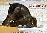 Elefanten. Badespaß am Strand (Wandkalender 2017 DIN A4 quer): Elefanten Babys beim Baden in Thailand (Monatskalender, 14 Seiten ) (CALVENDO Tiere) by
