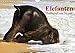 Elefanten. Badespaß am Strand (Wandkalender 2017 DIN A4 quer): Elefanten Babys beim Baden in Thailand (Monatskalender, 14 Seiten ) (CALVENDO Tiere) by