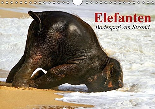 Elefanten. Badespaß am Strand (Wandkalender 2017 DIN A4 quer): Elefanten Babys beim Baden in Thailand (Monatskalender, 14 Seiten ) (CALVENDO Tiere)