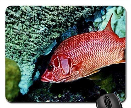 Preisvergleich Produktbild Themed Gaming-Mauspad der Fische, rote Fisch-Mausunterlage, Mousepad