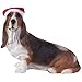 Produktbild Sandicast Verzierung Basset Hound mit Sankt-Hut Weihnachtsverzierung (XSO07103) Sandicast ornament Basset Hound with Santa Hat Christmas Ornament (XSO07103)