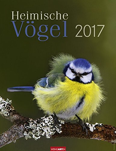 Heimische Vögel - Kalender 2017