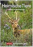 Heimische Tiere - Kalender 2019: Wochenplaner, 53 Blatt mit Wochenchronik by