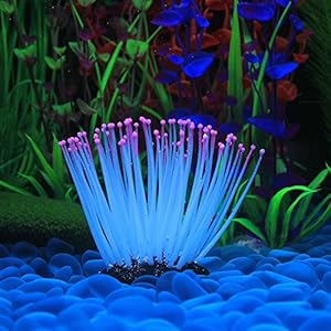[Gesponsert]Decdeal Glühende Künstliche Seeanemone für Aquarium Dekoration