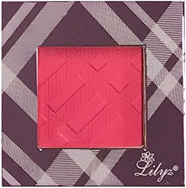 Lilyz Multi-Function Matte / Shimmer Eyeshadow Highlighter Blush Blusher Bronzer Face Contour Compact with Rosy Pink High Shine Case 3.5g (10# Raspberry Ripple MATTE-RosyPinkCase)