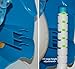 U & Me Penguin Urinal for Little Boys Potty Training