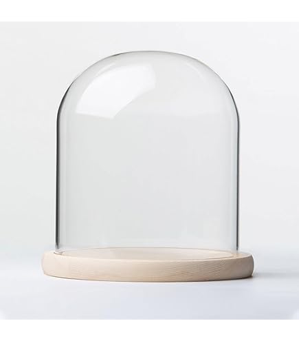 Oude Antiek Brocante Stolp Globe met Houten Onderbord | Oude Antieke Glazen Stolpen Globes | Aan de Punt