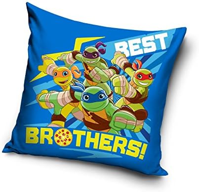 Turtles Ninja Blue Decorative Cushion Cover Pillow Case Home Decor