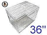  Ellie-Bo Jaula Plegable 2 Puerta con Orificio Bandeja de Metal Grande (91,4 cm) para Perro.