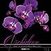 Orchideen 2015 - Blumen - Bildkalender (33 x 33) - mit Texten und Foliendeckblatt by