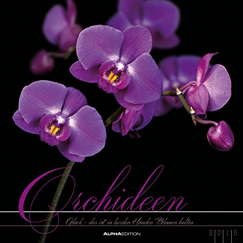 Orchideen 2015 - Blumen - Bildkalender (33 x 33) - mit Texten und Foliendeckblatt