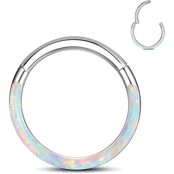 ESHIONER G23 Titane Piercing Nez Anneaux Piercing Hélix Tragus Hypoallergénique Argent Anneaux De Cartilage Piercing Conch Septum 16G 6MM Anneau Nez Piercing 1 Pièce