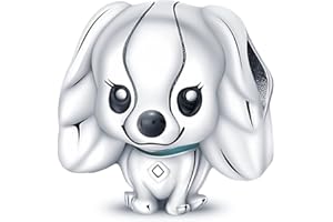 Panderu Charm Anhänger Damen 925 Sterling Silber für Armband Charms Beads passend für Pandora Armband und Halskette, Kompatibel mit Europäischen Armbänder für Frauen Mädchen C1