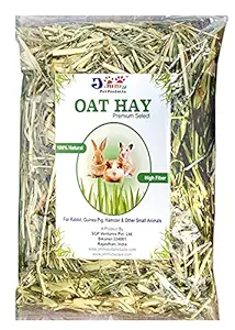 JiMMy Pet Products Oat Hay Premium Select for Rabbit, Guinea Pig & Hamster 1.2 Kg