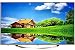 Micromax 109 cm (43 inches) 43E7002UHD 4K UHD LED Smart TV RS.0.00