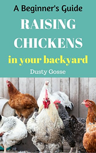 Raising Chickens Backyard Chickens A Beginner S Guide Getting The