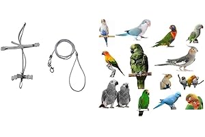 BLUSUPERSHOP PETTORINA PAPPAGALLI regolabile MISURA da cocorite ad amazzone 3mm elastica E nastro 10mm, fibbie plastica GUINZAGLIO 3mm nero 1M (tutta bianca)