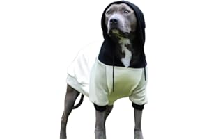 Spark Paws Felpa con cappuccio per cani, qualità premium, morbida, comfort e vestibilità eccellenti, interno in pile, adatto per tutte le razze, crema oliva, 3XL