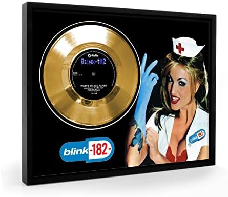 Blink 182 What's My Age Framed Gold Disc Display Vinyl (C1)