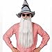 Produktbild NET TOYS ZZ Top Bart Langer Vollbart weiß-grau Bayrischer Kunstbart Herren Oktoberfest Graubart Merlin Zaubererbart Zauberer Faschingsbart Karnevalskostüme Accessoires