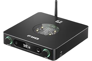 FIIO K13 Compact Desktop R2R architecture DAC and Headphone Amplifier (Black)