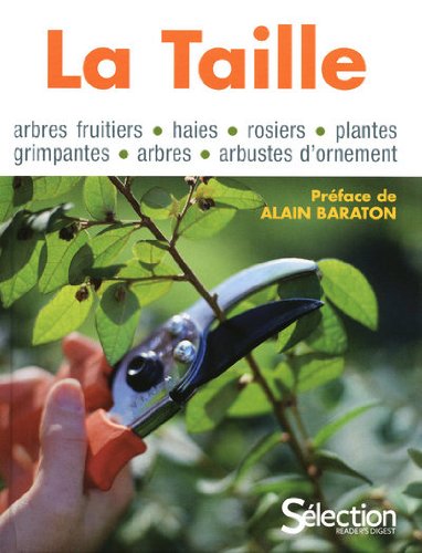 couverture de : La taille