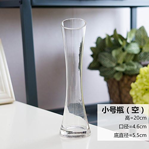 Maivas Vase Thin Waist Glass Transparent Single Flower Desktop Decoration,