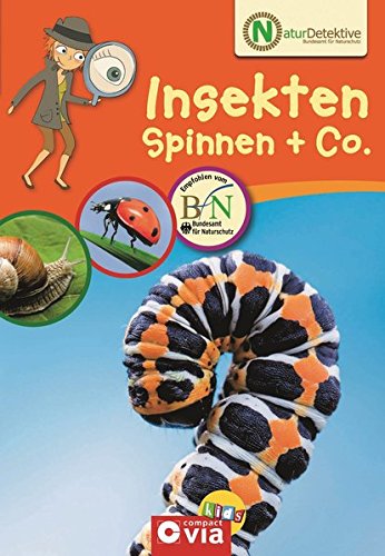 Preisvergleich Produktbild Insekten, Spinnen & Co. (Naturdetektive)