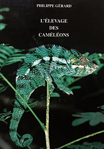 Download L'élevage des cameleons
