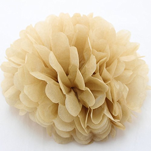 Ipalmay 10er Farben Seidenpapier Pom Poms Blumen Ball für Jäten Geburtstag Party Dekorationen, Braun, 10 Inch( 25cm )