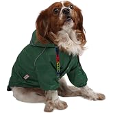 Pawstar Pluvia İ&ccedil;i Polar K&uuml;&ccedil;&uuml;k Irk K&ouml;pek Yağmurluğu Yeşil (Medium)