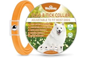 Woyamay Collier Anti Puces pour Chien, Collier Chien pour Anti Puces Chien Réglable et Résistant à l'eau, 8 Mois de Protection Collier Antiparasitaire pour Chien de Petite, Moyenne et Grande, Orange