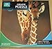 Produktbild BBC Earth Giraffe 1000 Piece Jigsaw Puzzle
