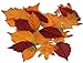 Produktbild Deko-Blätter Herbst, Streublätter, 24er Sortierung, Blätter - Maße: von ca. 4 cm - 7 cm