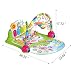 Kick & Play Piano Musical Lights & Sounds Baby Floor Gym (Pink)