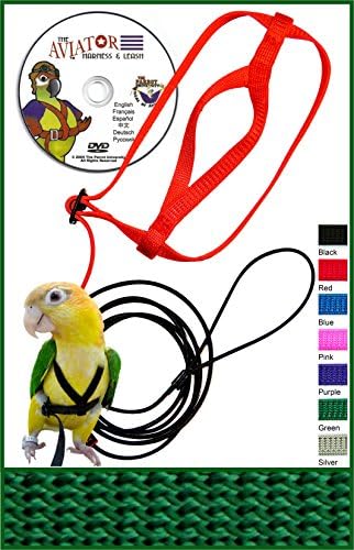 The AVIATOR Pet Bird Harness and Leash: Small Green Made in America