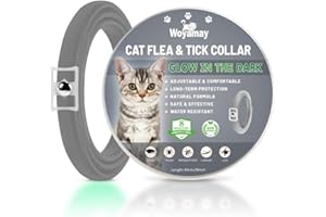 Woyamay Collar Antiparasitario Gatos, Luminoso Collar Antipulgas y Garrapatas Gatos Impermeable e Ajustable Collar Antipulgas Gatos, 8 Meses de Protección, Collar Gato contra Pulgas y Piojos, Gris